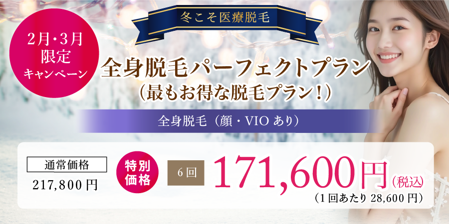 全身脱毛パーフェクトプラン(最もお得な脱毛プラン!)