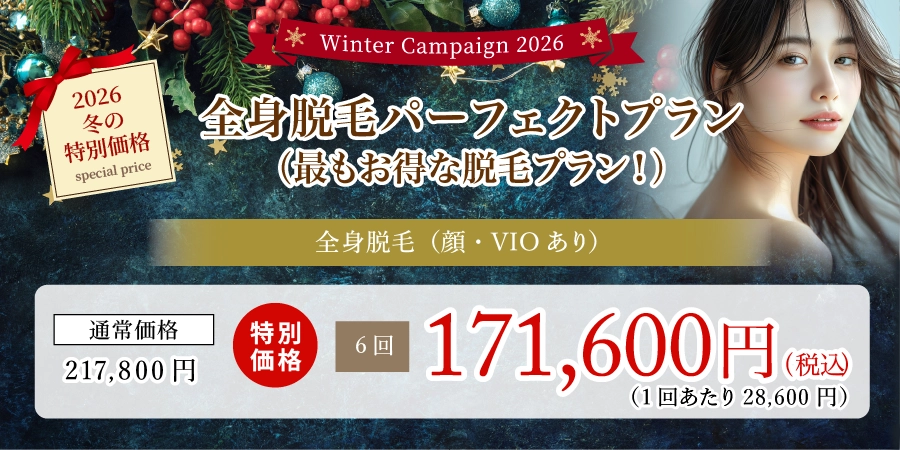 全身脱毛パーフェクトプラン(最もお得な脱毛プラン!)