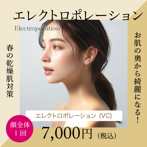 エレクトロポレーション