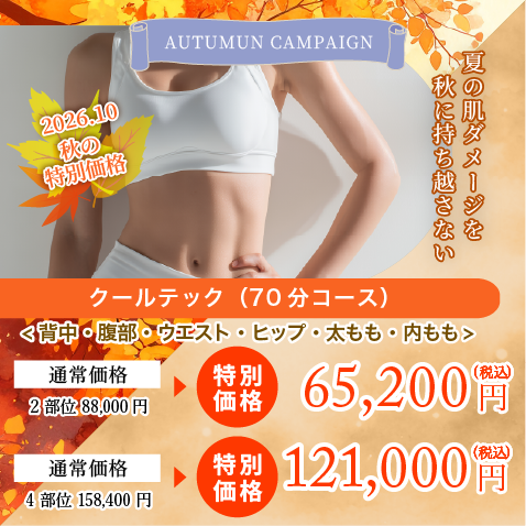 余分な脂肪は凍らせて出す痩せたい部分をピンポイントダイエット！